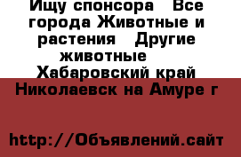 Ищу спонсора - Все города Животные и растения » Другие животные   . Хабаровский край,Николаевск-на-Амуре г.